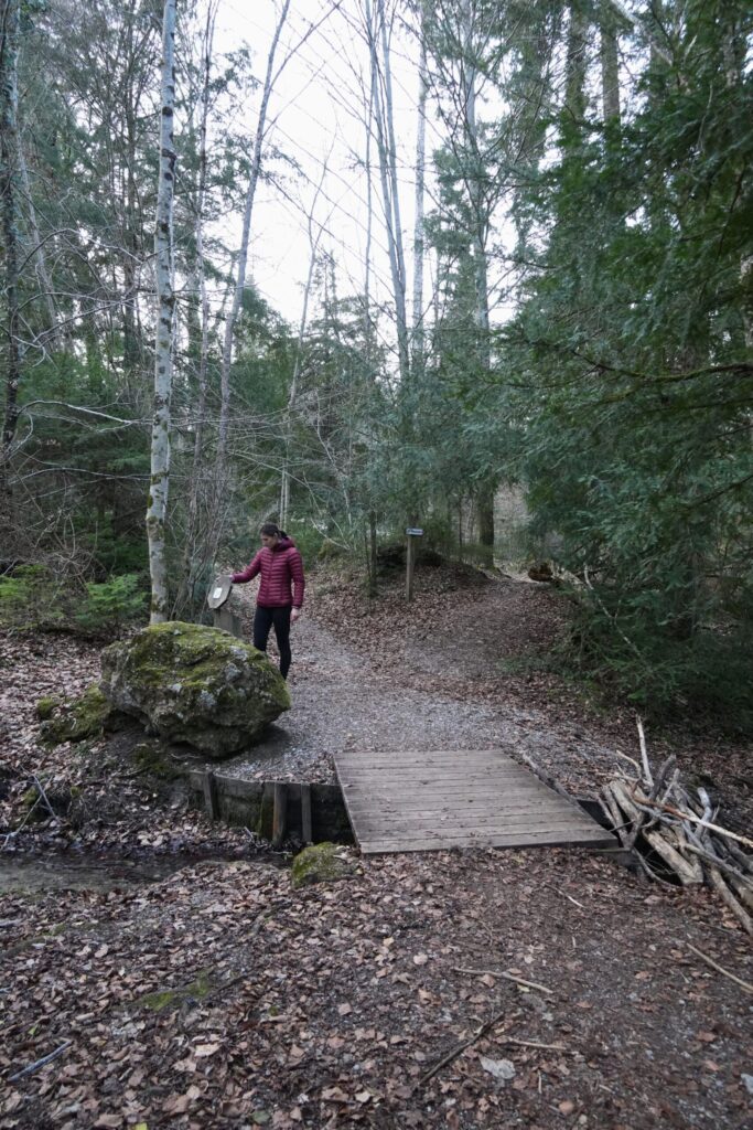 Wanderweg führt über eine Brücke zu Nina, die den Text an einer Station im waldigen Kiesweg mit Laub liest